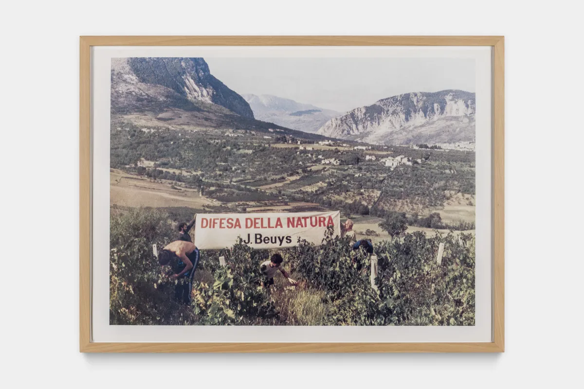 In Defense of Nature: Joseph Beuys's Environmental Legacy