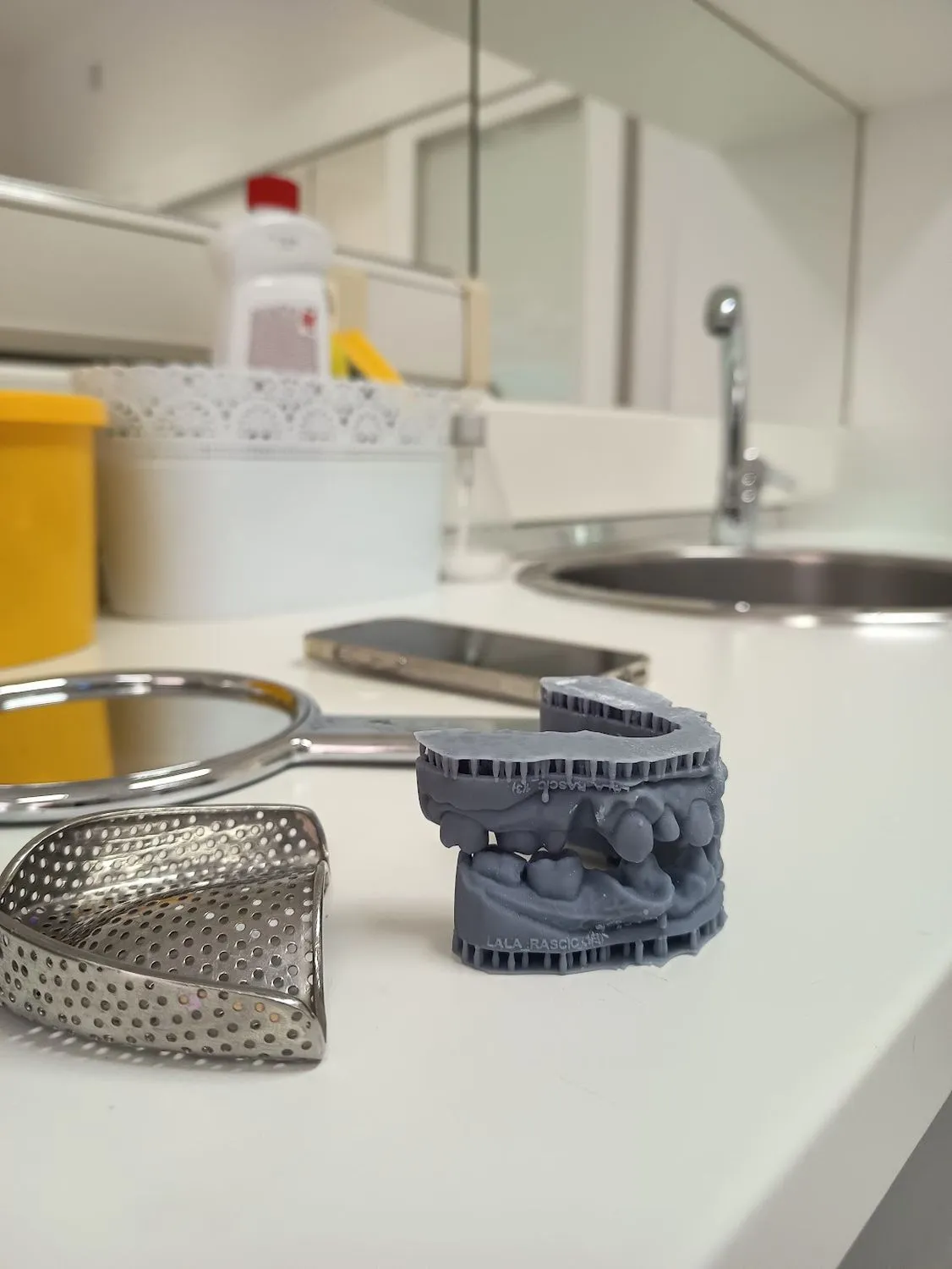 A 3D-printed model of the jaw at Mekić Dent Art, Sarajevo. Private archive, courtesy of the artist