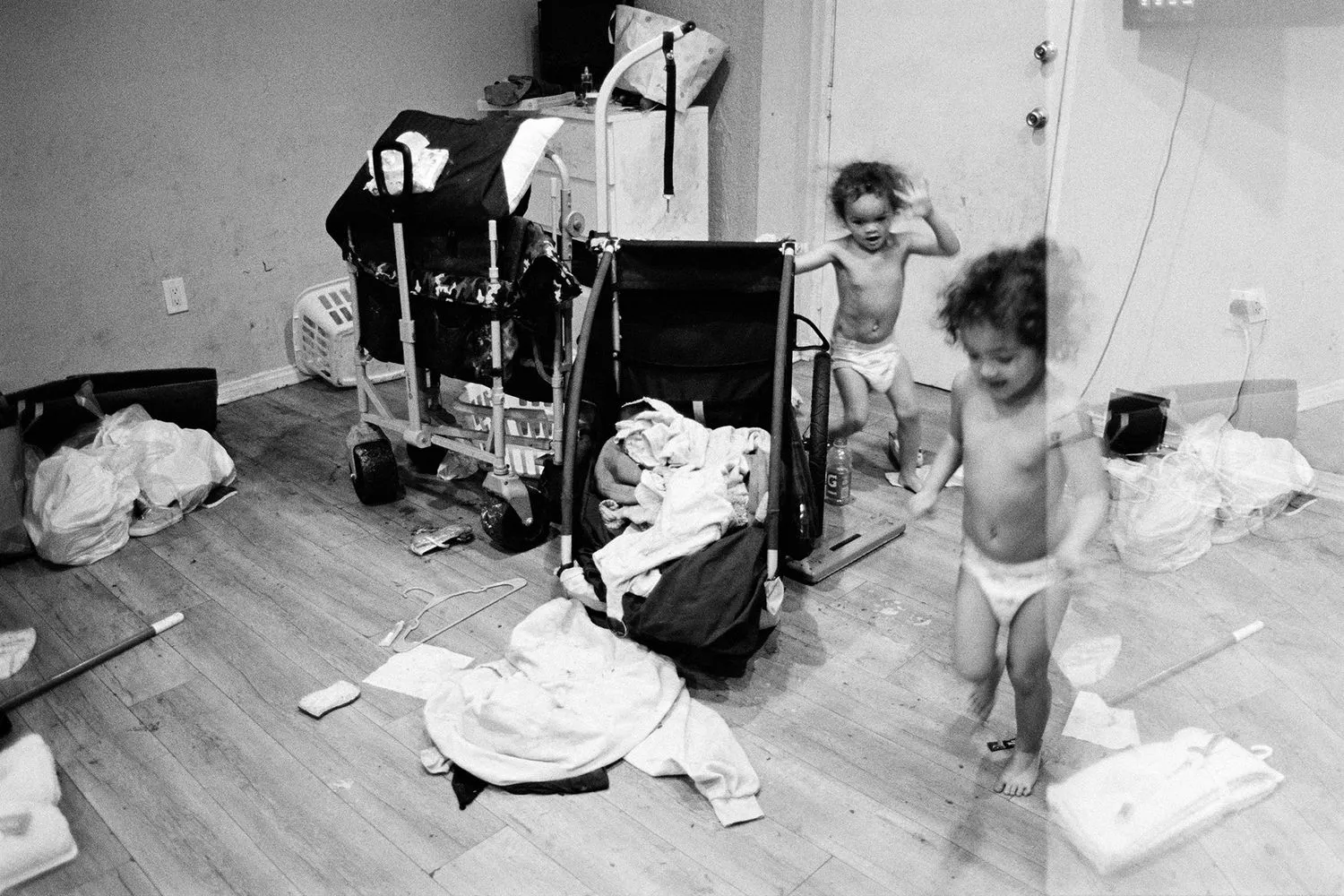 Abdulhamid Kircher, New Genesis