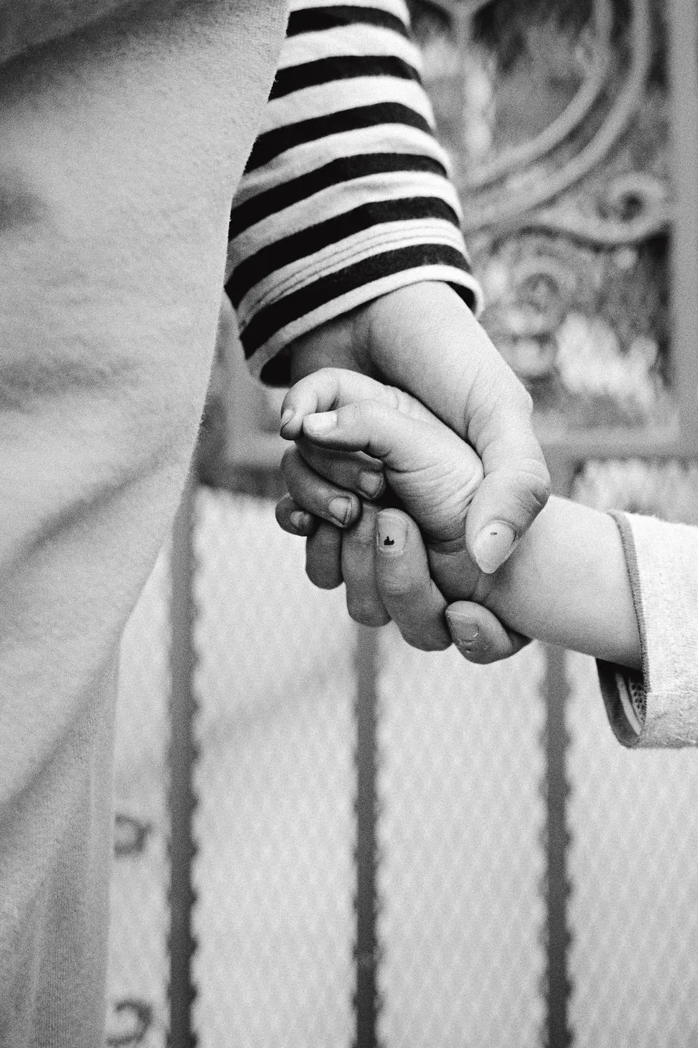 Abdulhamid Kircher, New Genesis