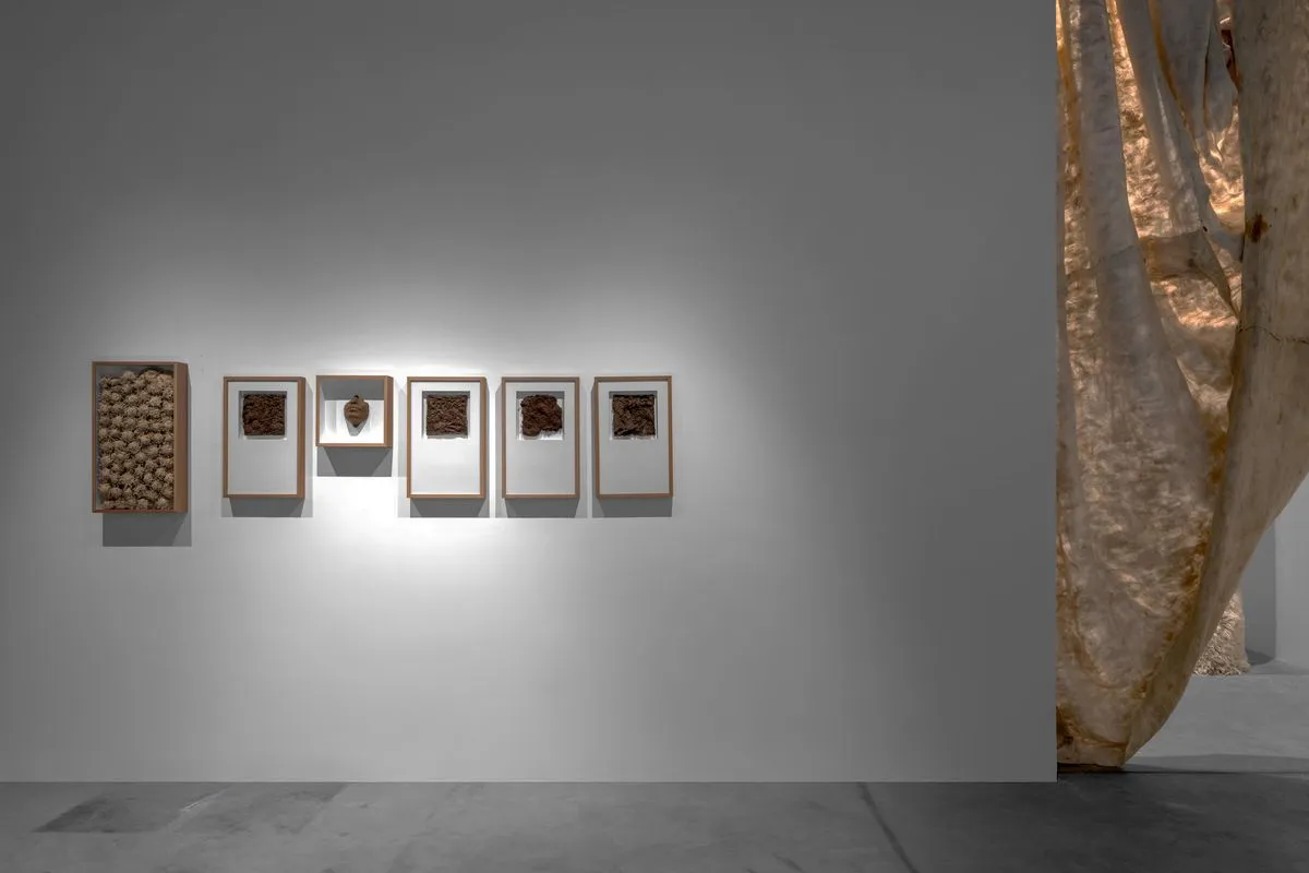Adrian Pepe, A Shroud is a Cloth, 2025