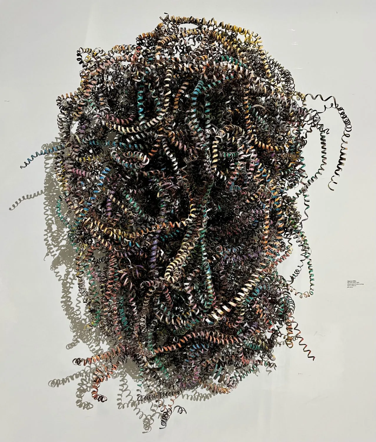 Algernon Miller, Big Natty Netty, 1970