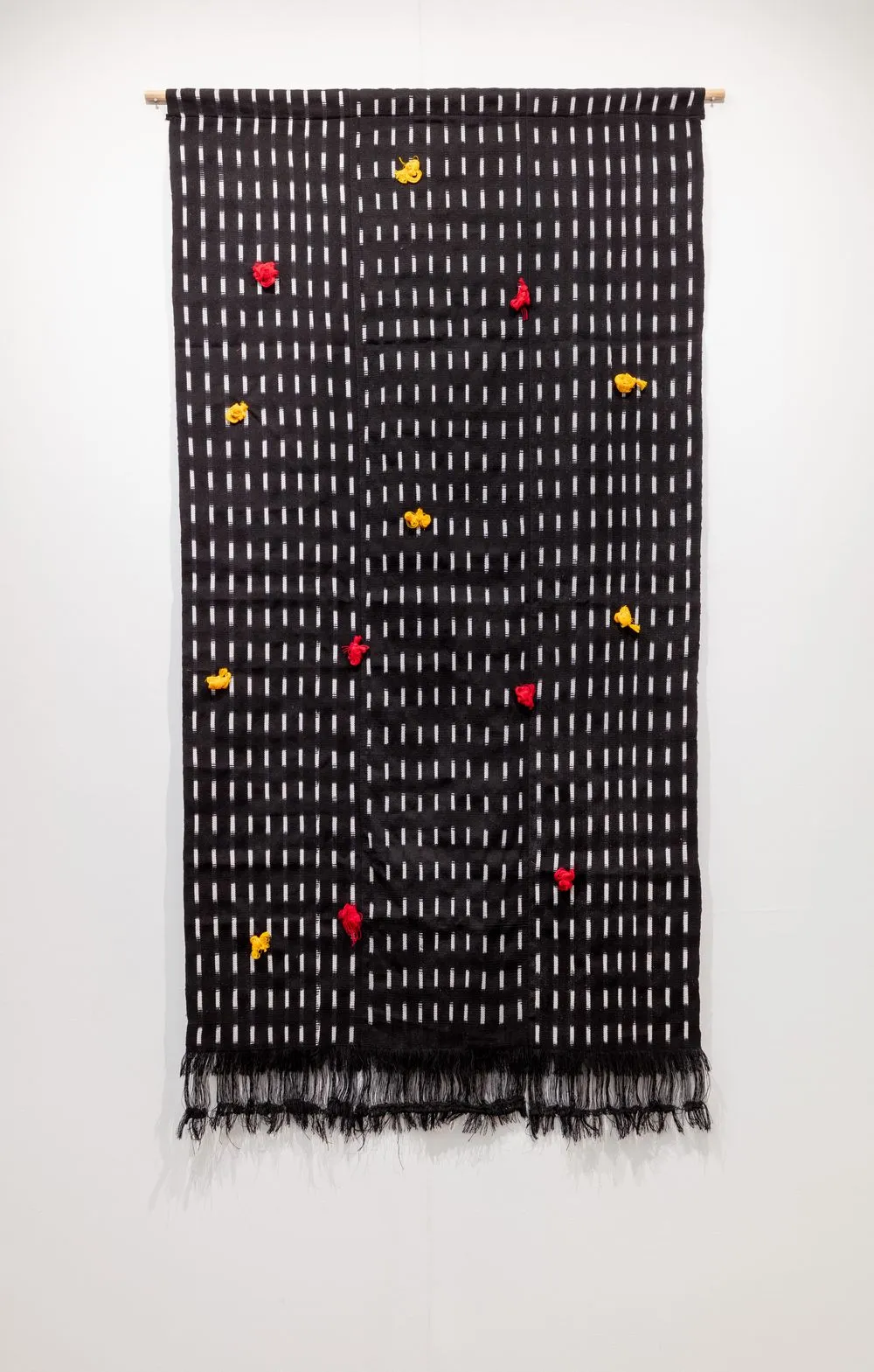 Antonio Pichillá Quiacaín, Seed, 2023