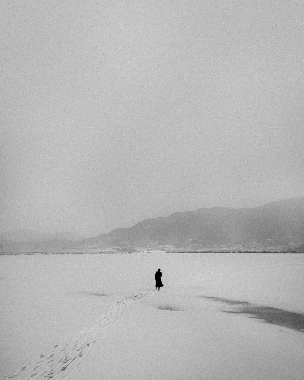 AraKo, Snow, 2022. Window Fourteen