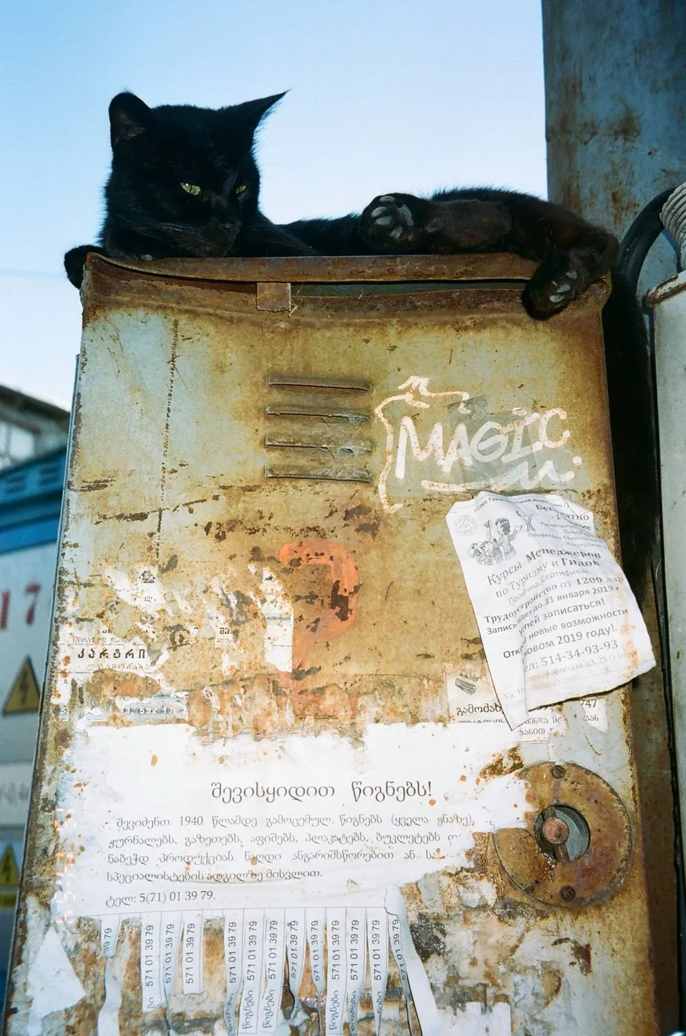 Arlau, Chromatic Terrains, analogue photograph. Courtesy of the artist.
