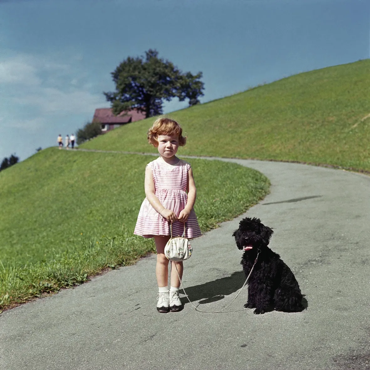 Arnold Odermatt, Stansstad, 1963. Galerie Springer