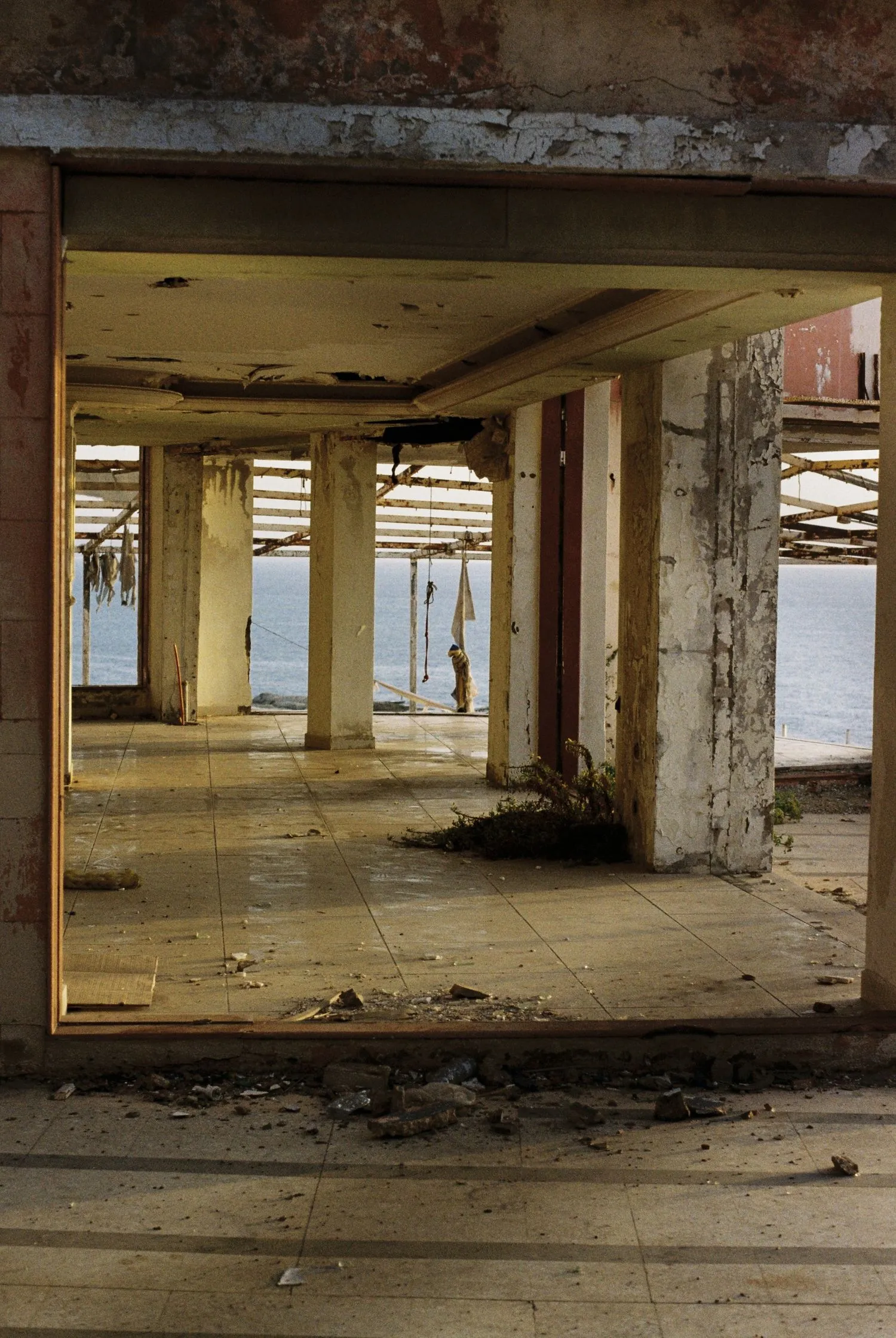 Beirut by Jelena Martinovic