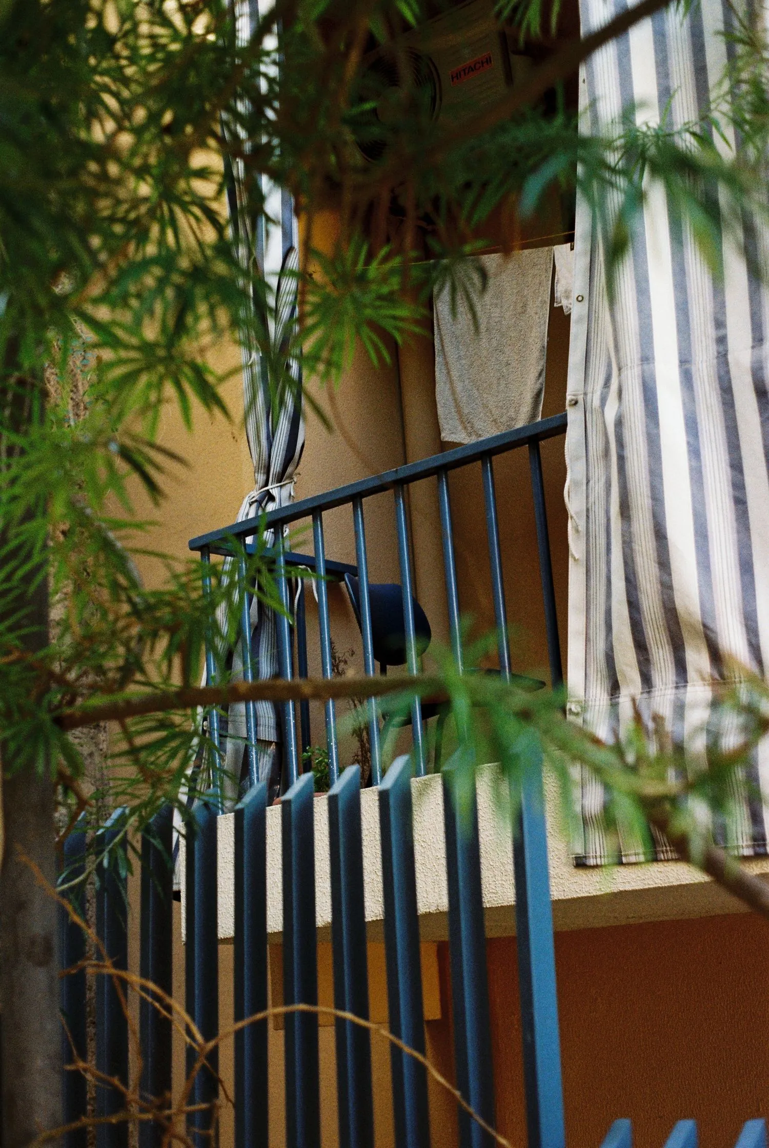 Beirut by Jelena Martinovic