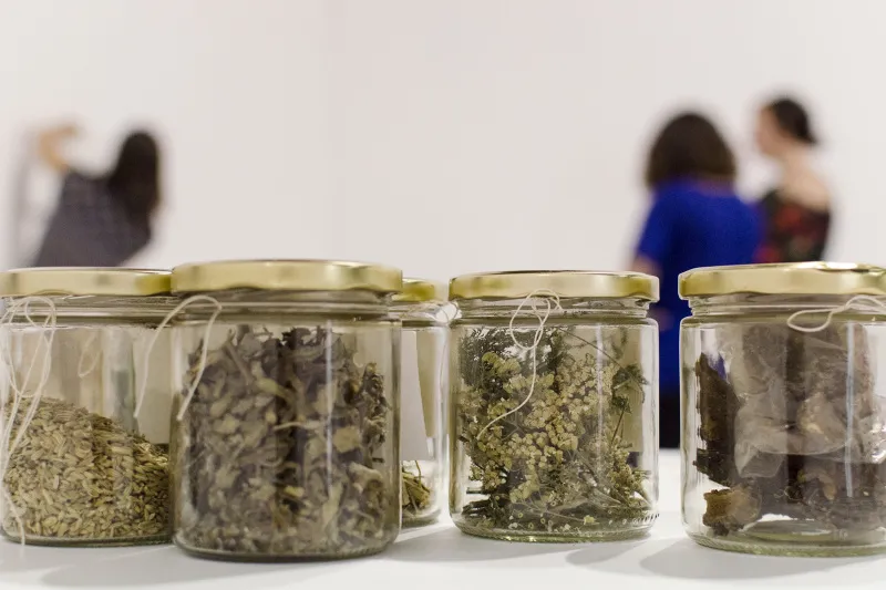 Installation view of the group show The Base, the Columns, and the Firmament at MAC, Museo de Arte Contemporáneo in Santiago de Chile, Quinta Normal (24 November 2017 – January 2018)