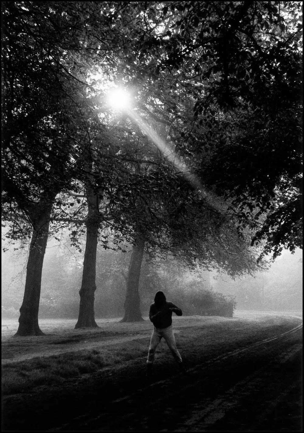 Gordon Parks, Muhammad Ali Trains in Hyde Park, London, England, 1966
