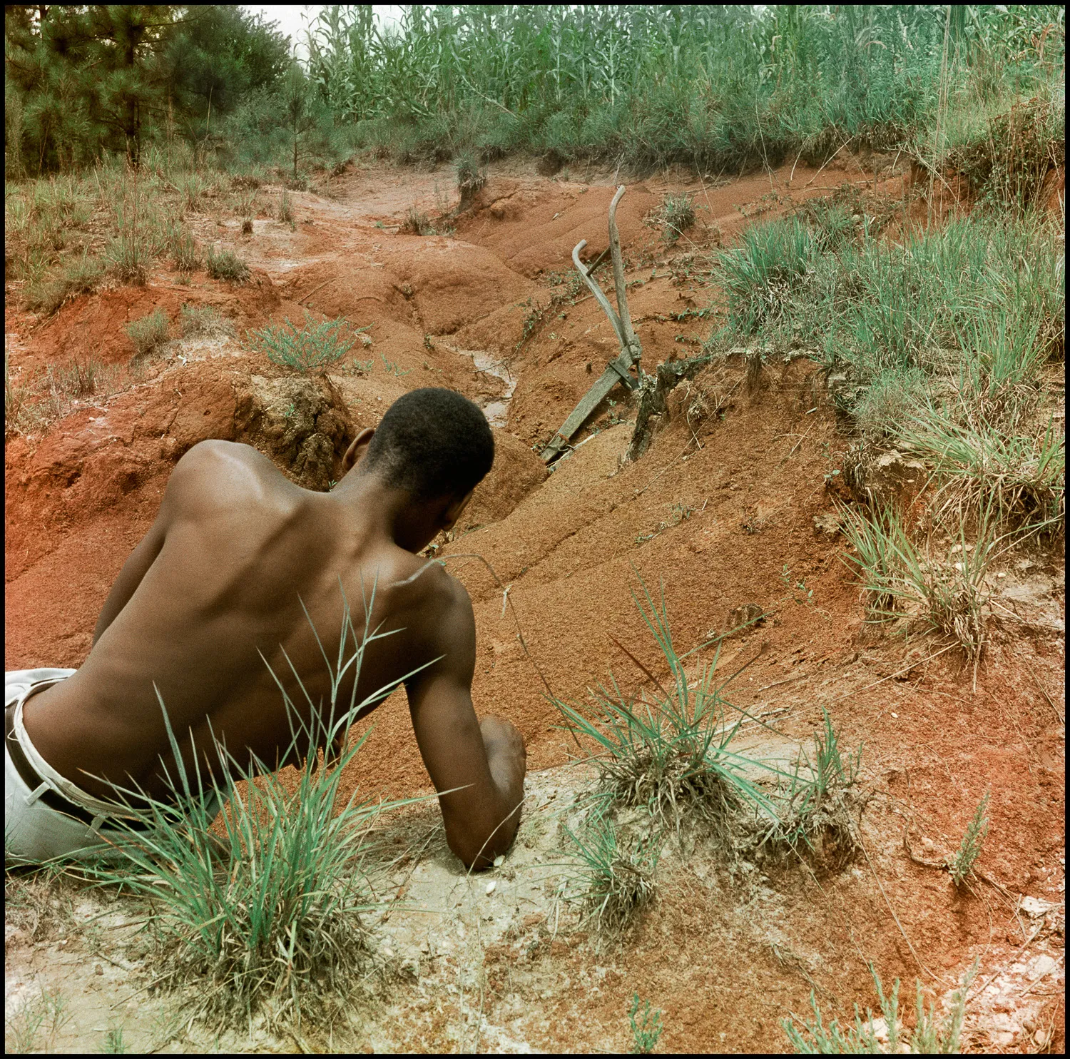 Gordon Parks, Untitled, Shady Grove, Alabama, 1956