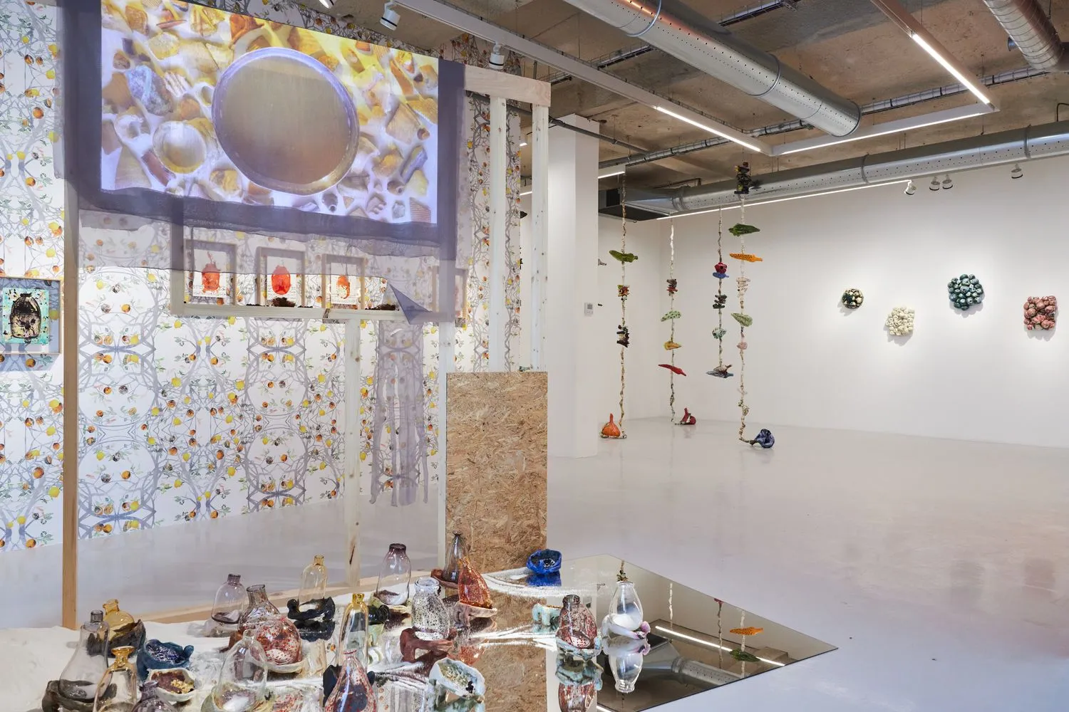 Installation view, Sour Things exhibition (2024) by Mirna Bamieh at NIKA Project Space, Paris