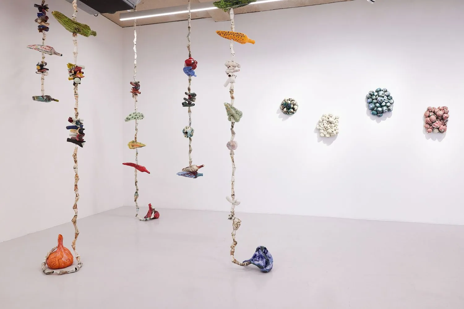 Installation view, Sour Things exhibition (2024) by Mirna Bamieh at NIKA Project Space, Paris