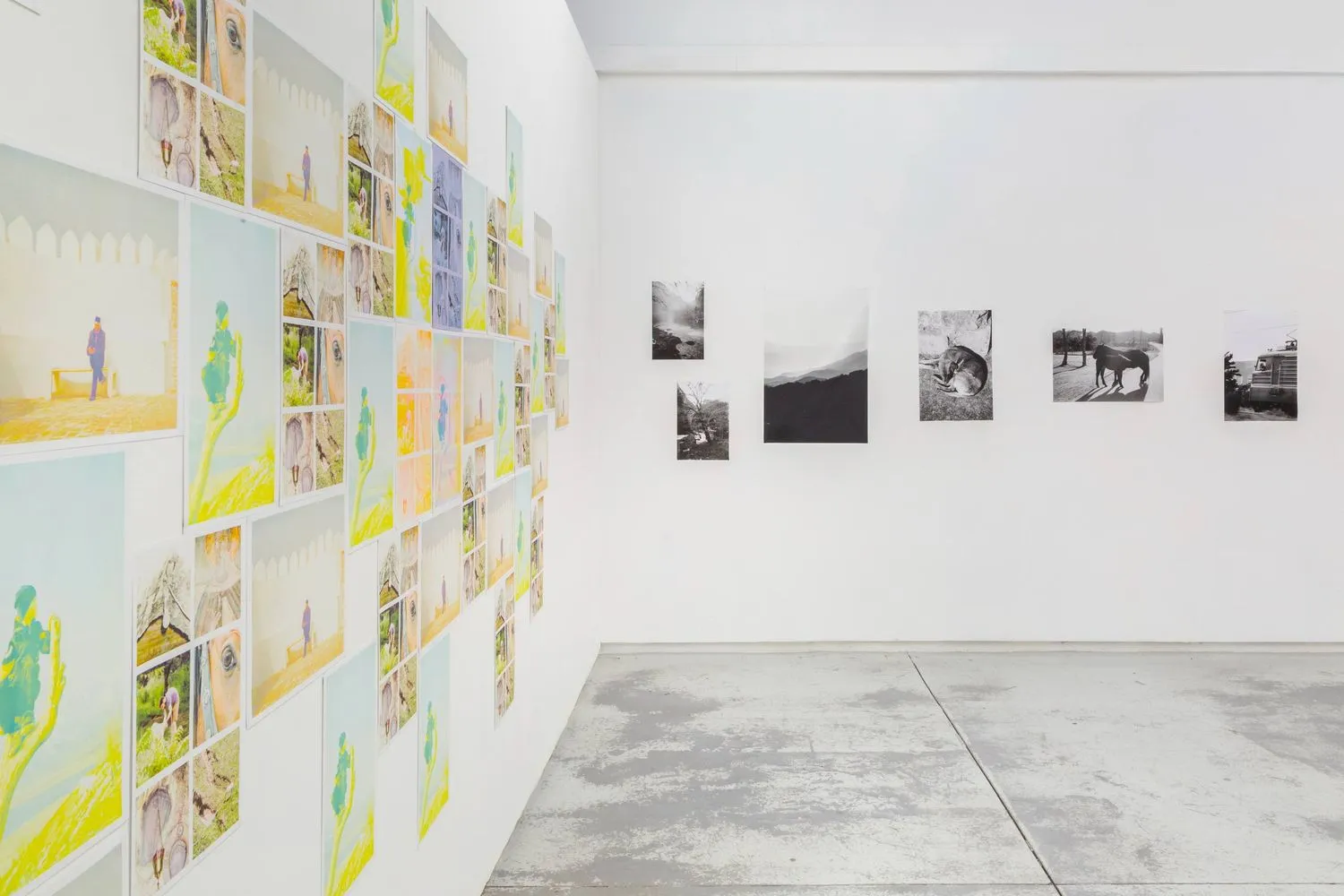 The installation view of Arlau's Chromatic Terrains at the Handbag Factory, London. Courtesy of the artist.