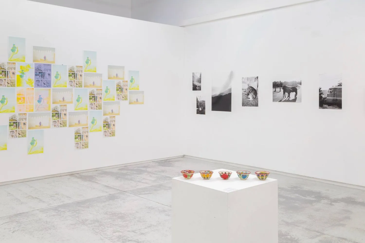 The installation view of Arlau's Chromatic Terrains at the Handbag Factory, London. Courtesy of the artist.