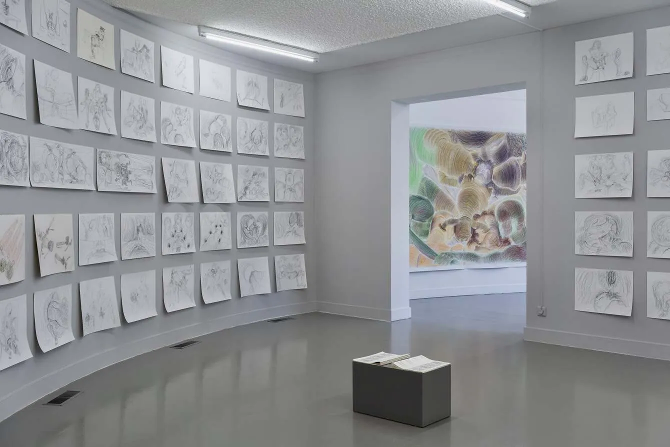 Installation view of Pieter Slagboom's Scent of Hypnosis at Drawing Centre Diepenheim. Courtesy of Àngels Miralda