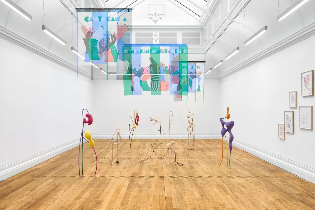 Installation view of Roda Viva by Vanessa da Silva at Mostyn Gallery © Rob Battersby