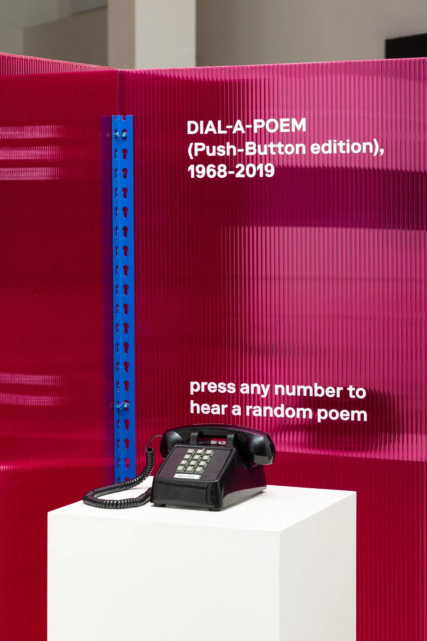 Installation view of the exhibition John Giorno: a labour of LOVE.