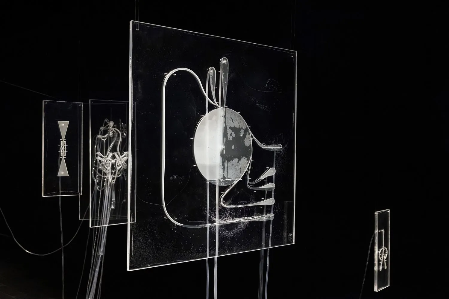 Iona Vreme MoserI, Fluid Anatomy