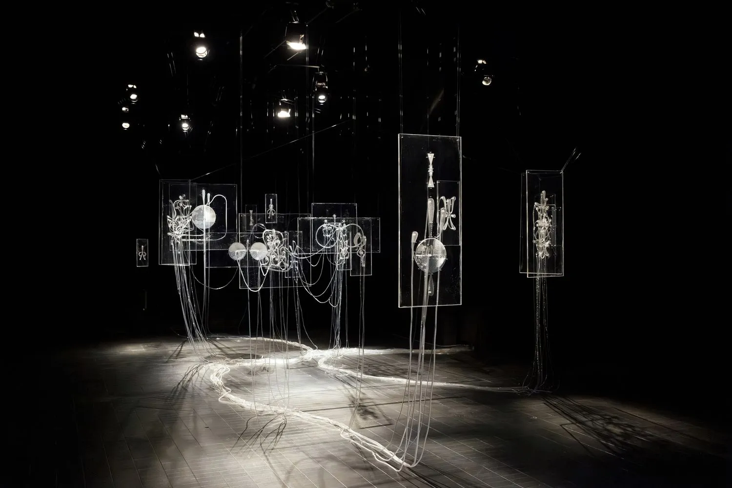 Iona Vreme MoserI, Fluid Anatomy