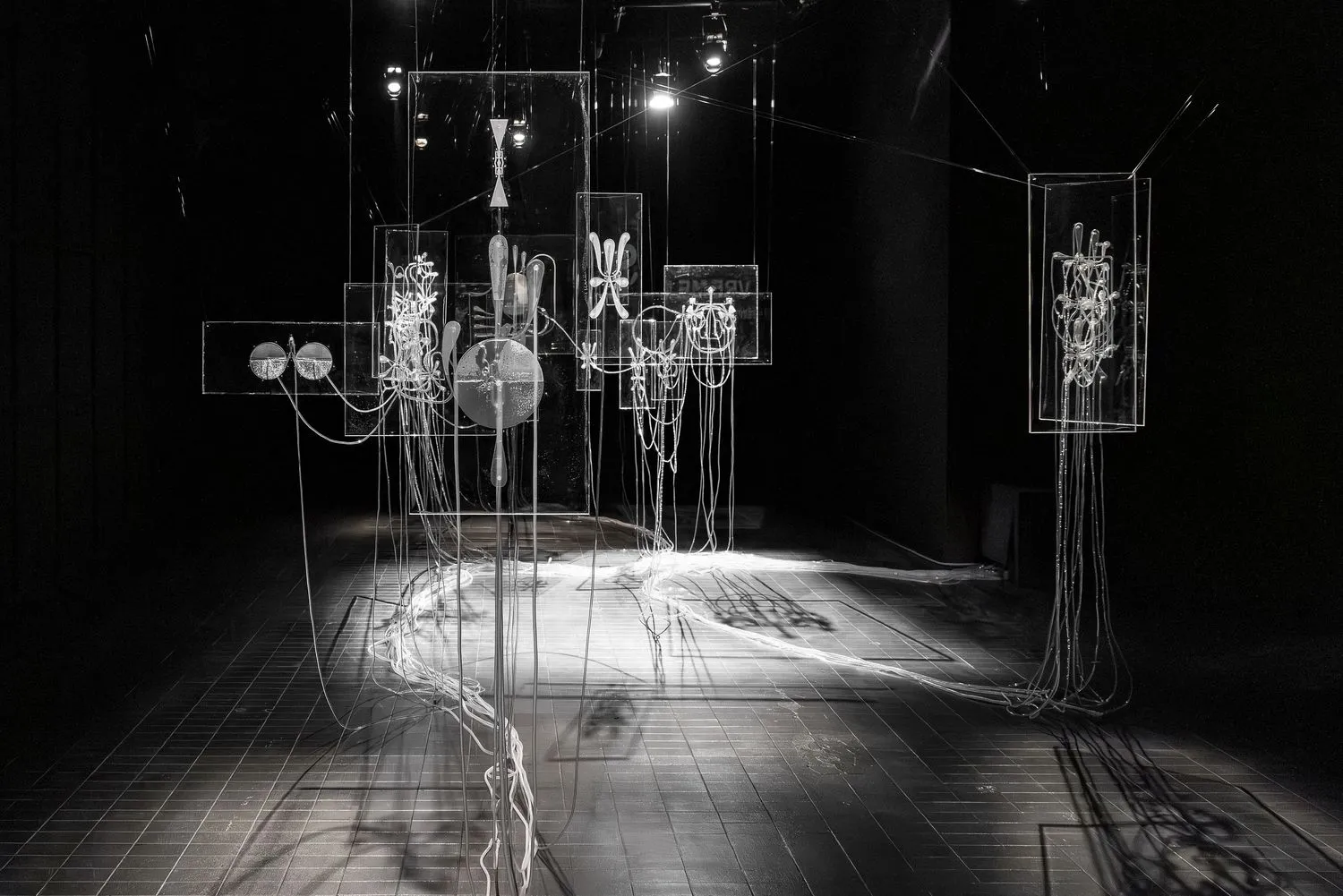 Iona Vreme Moser, Fluid Anatomy