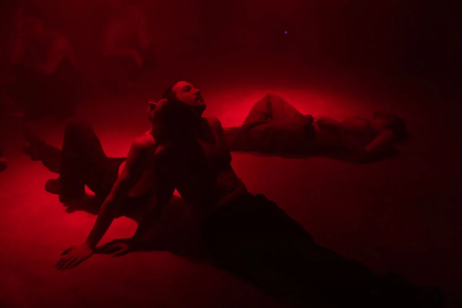 Ivana Ivković, COM/PASSION, 2025
