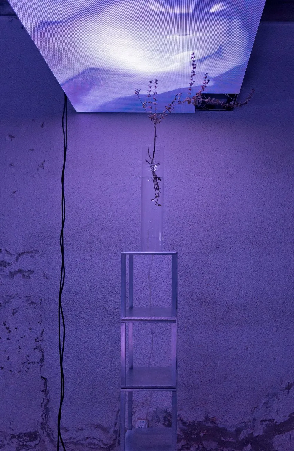 Jesper Just, Seminarium, 2021