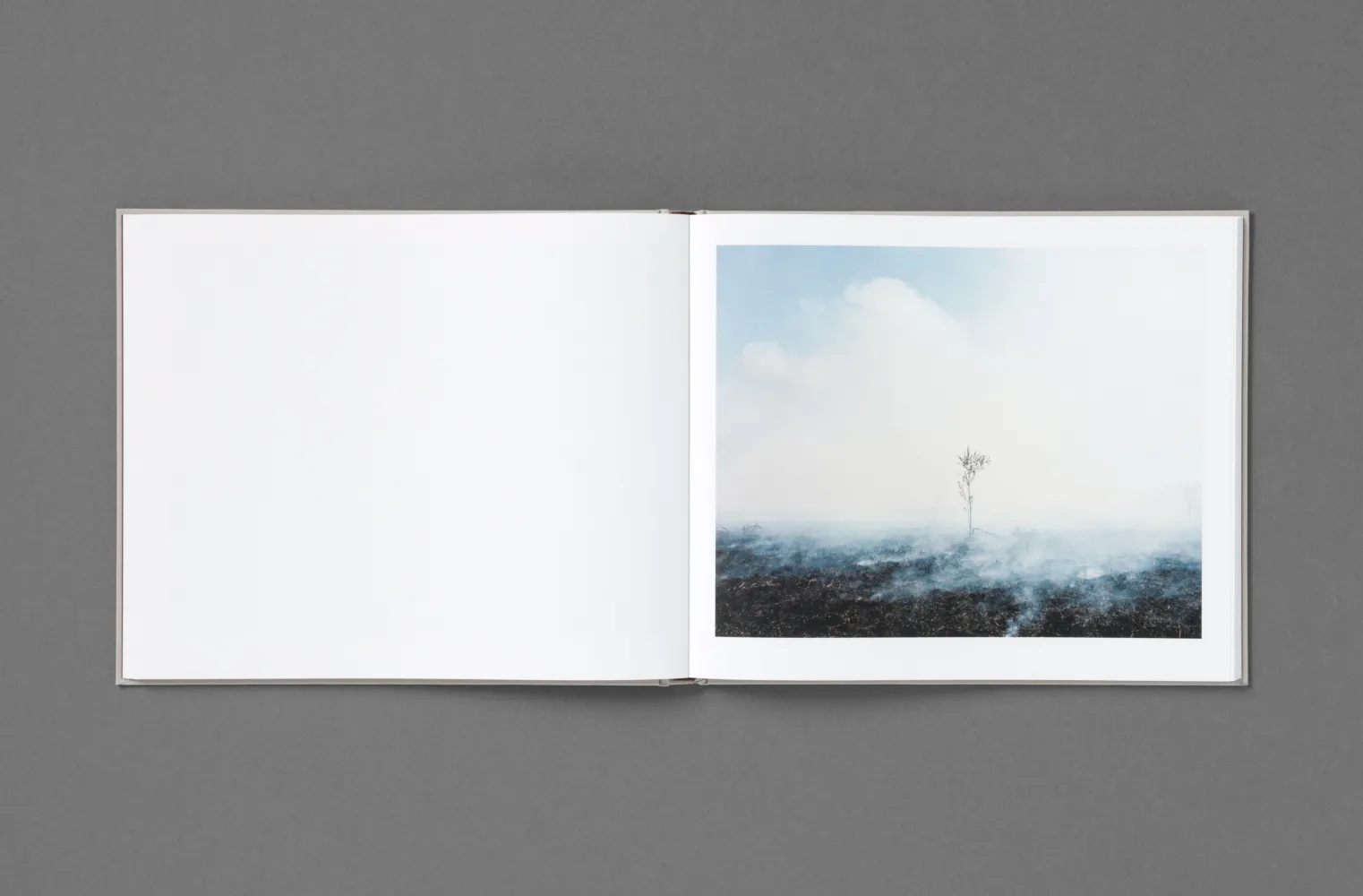 Khashayar Javanmardi, Caspian. Courtesy of Loose Joints