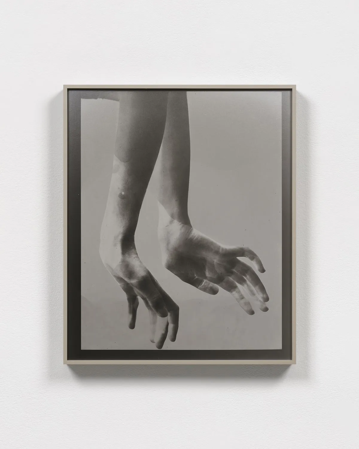 Lisa Oppenheim, Steichen Study 15, 2024
