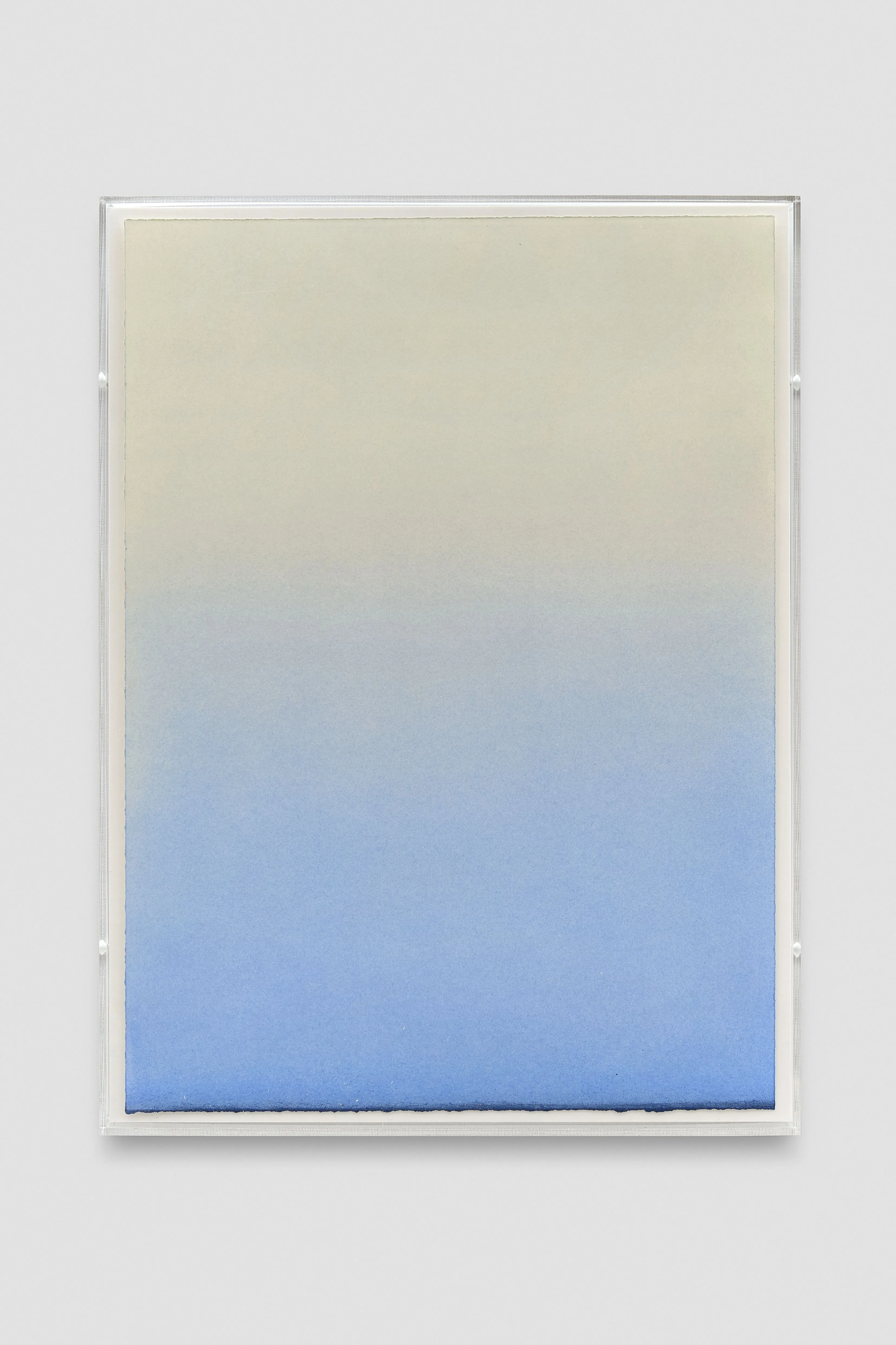 Martina Quesada, All in favor say yay, 2025