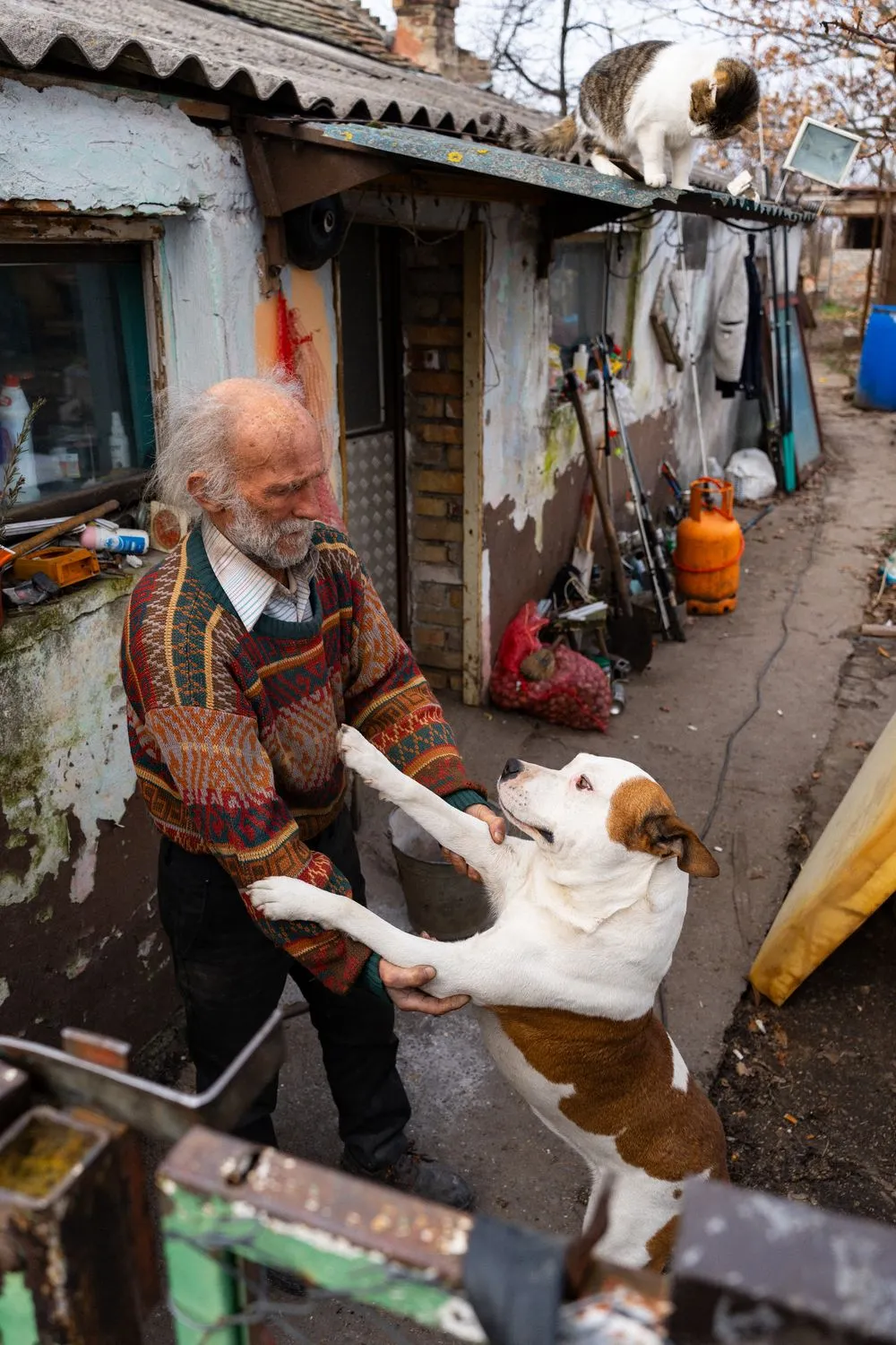 Nemanja Podraščić, Untitled