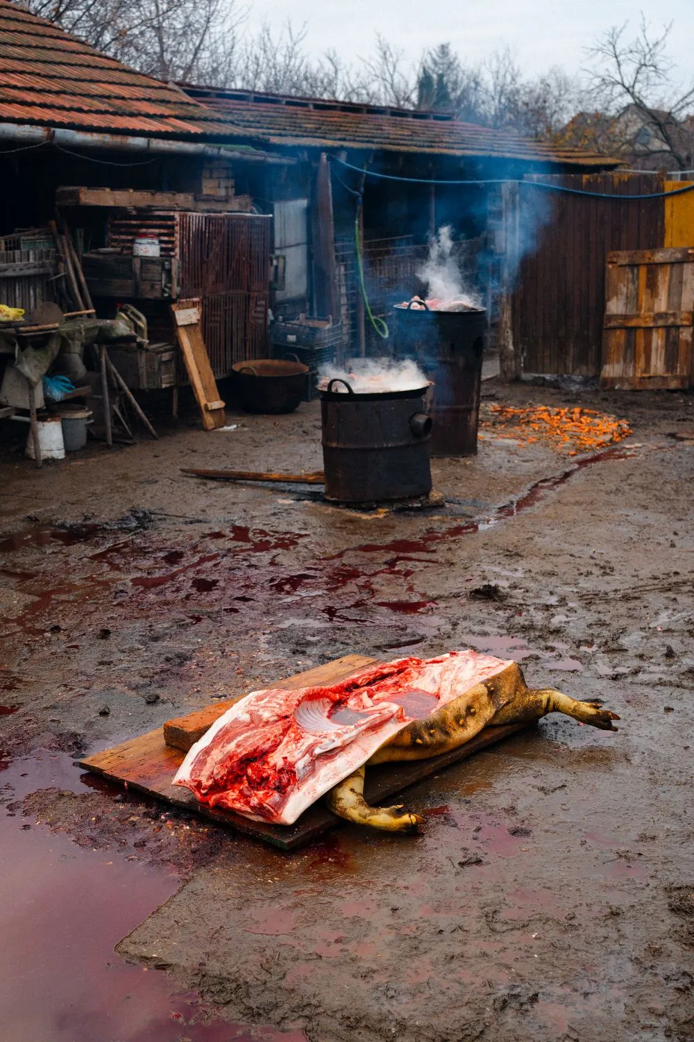 Nemanja Podraščić, Untitled