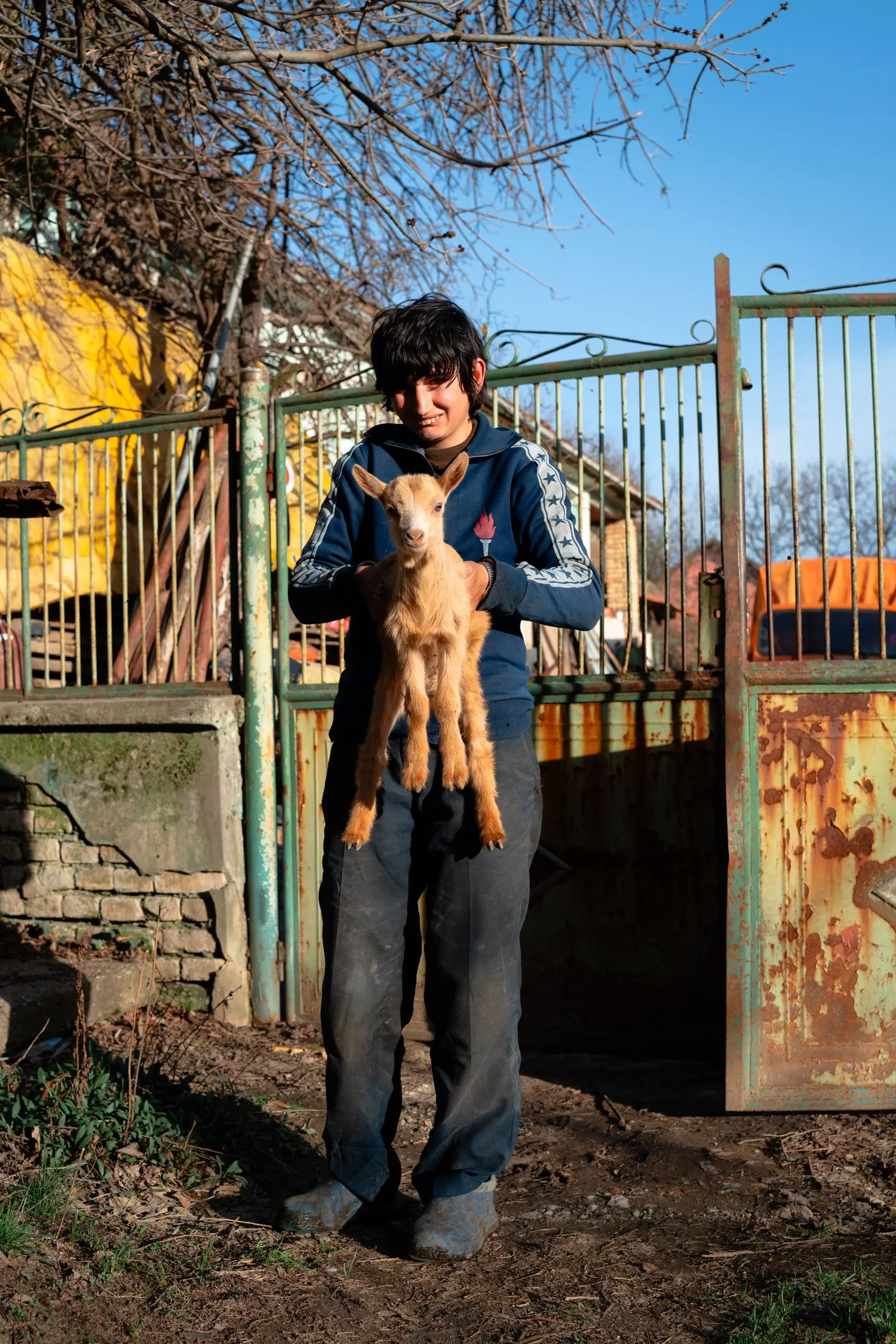 Nemanja Podraščić, Untitled