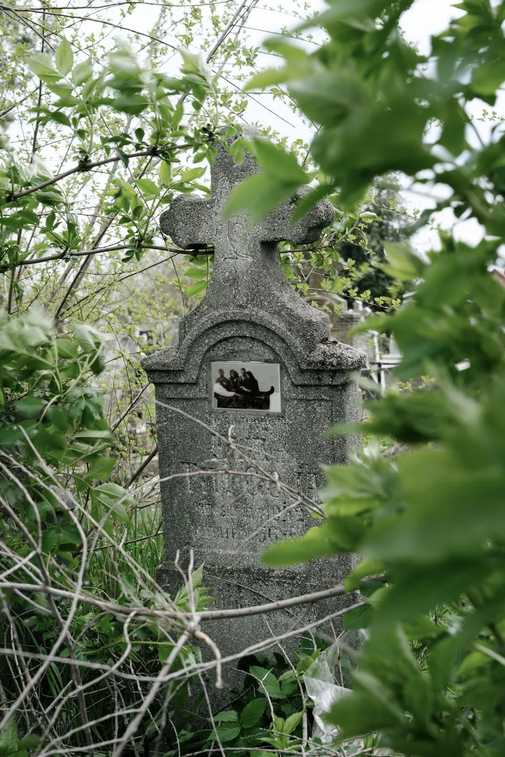 Nemanja Podraščić, Untitled