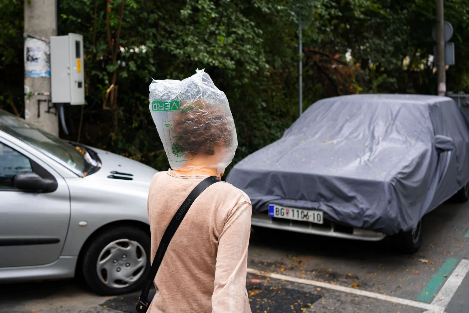 Nemanja Podraščić, Untitled