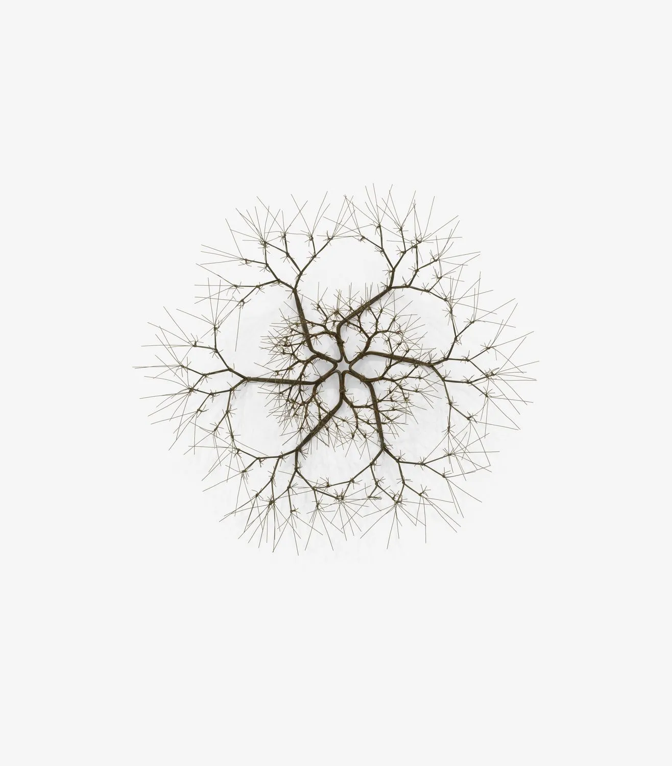 Ruth Asawa, Untitled (S.451, Wall-Mounted Tied-Wire, Open - Center, Six -Branched Form Based on Nature), ca. 1965