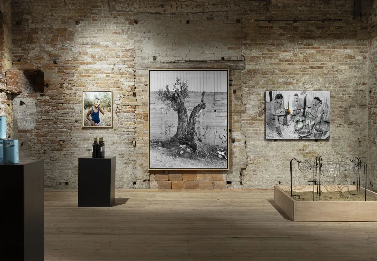 south-west-bank-venice-biennale