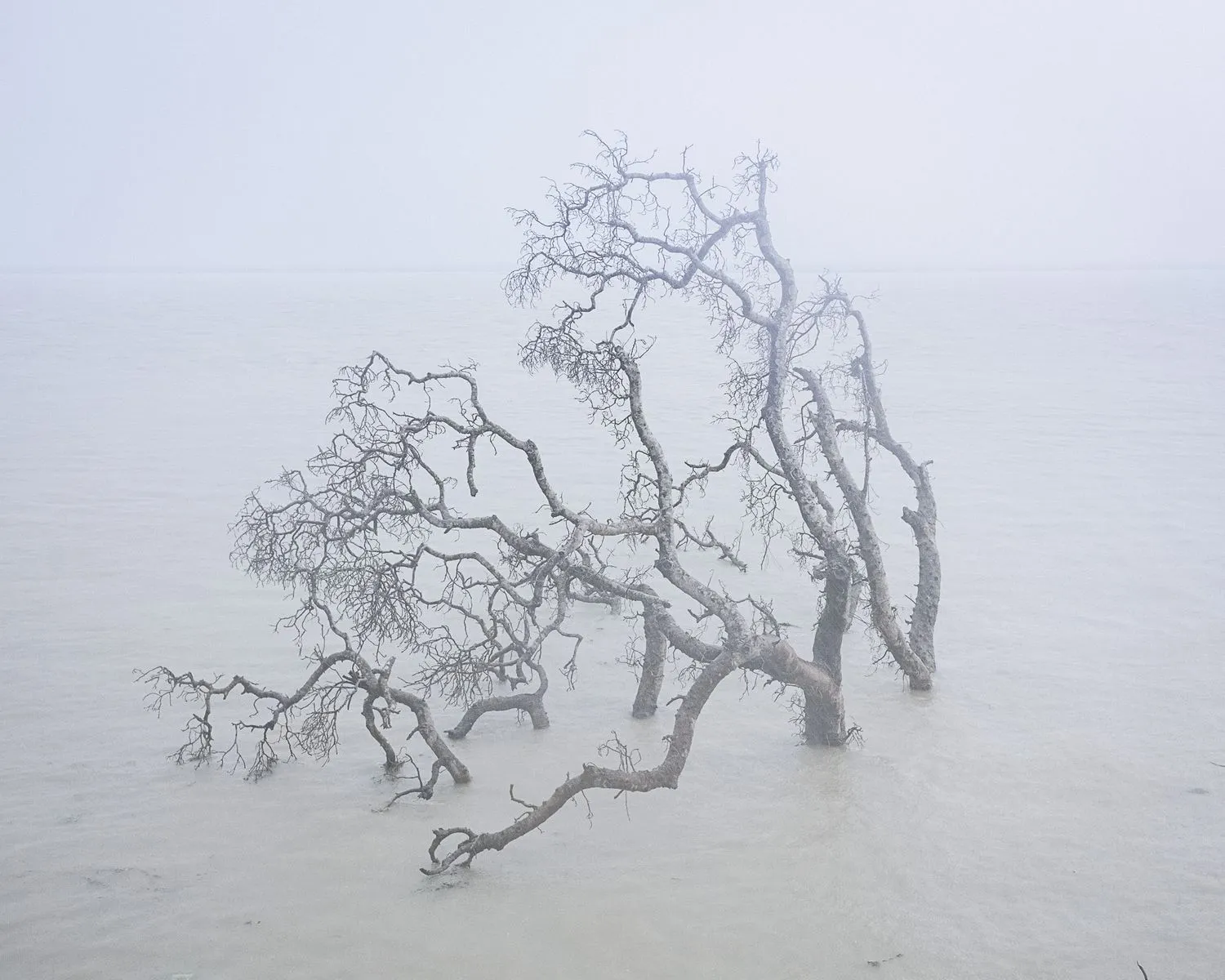 Sarker Protic, From the series 'Of River and Lost Lands' (2011 - 2023)