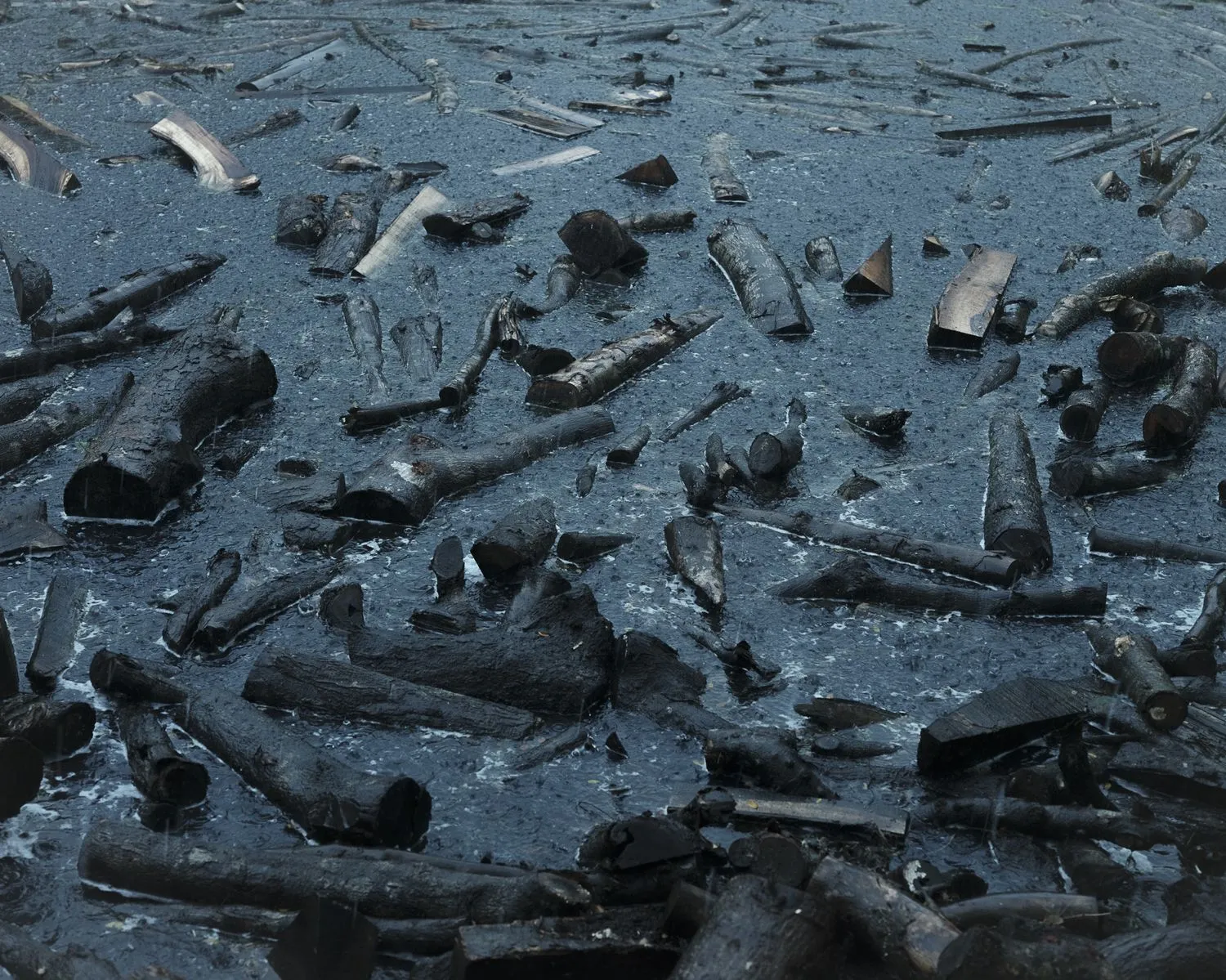 Sarker Protick, Chunati Wildlife Sanctuary, Chittagong, Bangladesh. From the series Awngar (ongoing)