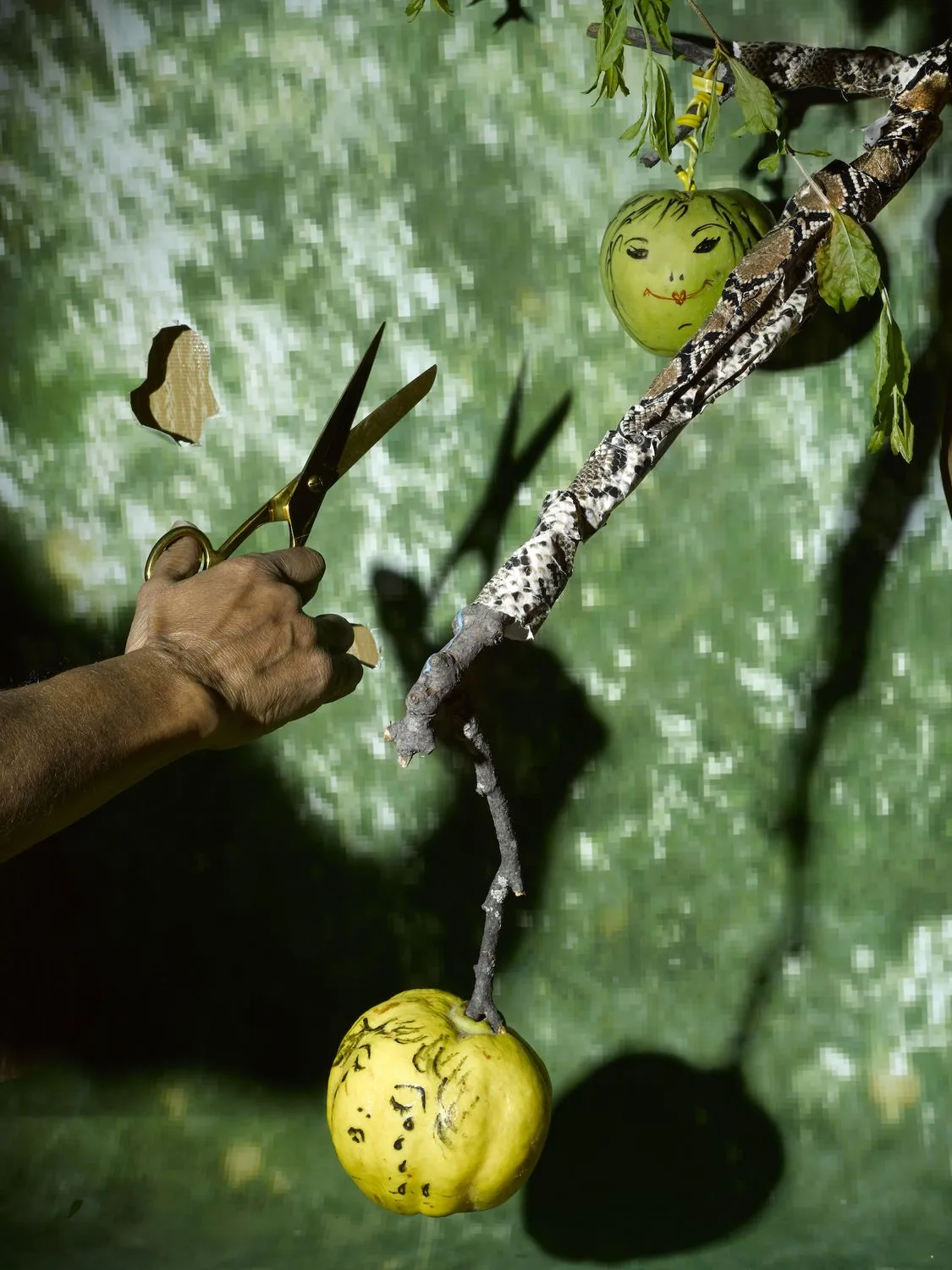 Sheida Soleimani, Crying Quince, Laughing Apple, 2021
