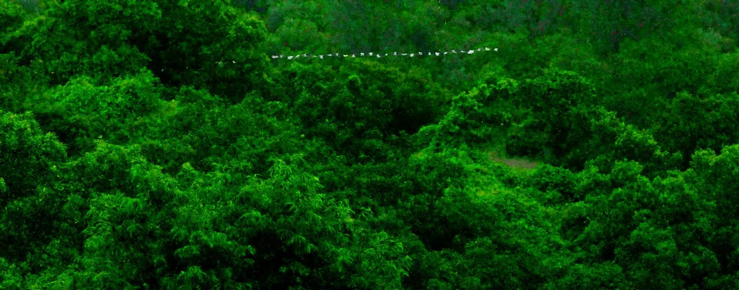 Sojung Jun, Green Screen, 2021, still