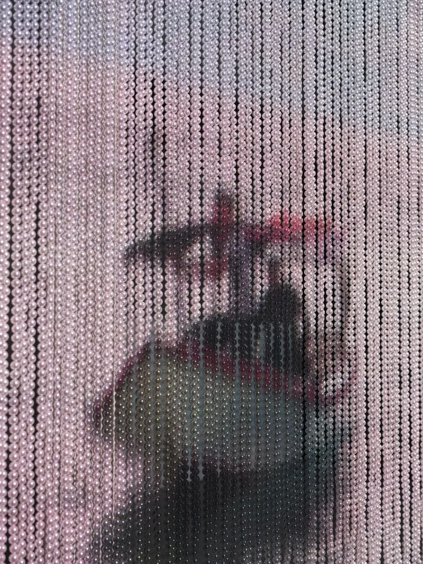 Stephanie Comilang, Search for Life II (detail), 2025