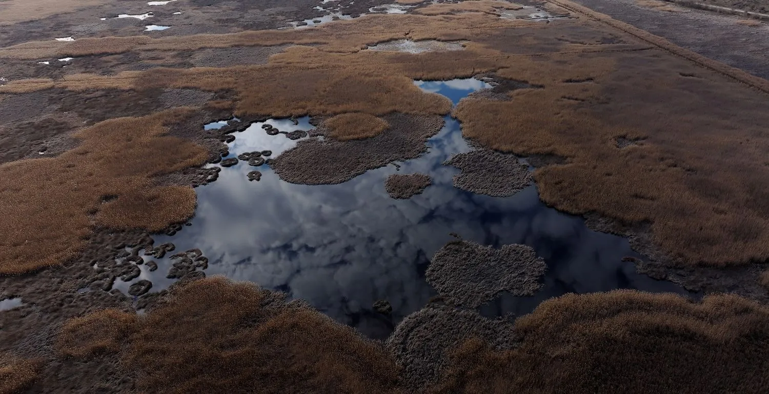 Maria Nalbantova, Swamp Song, 2026. 9 min, 4K video, 5.1 sound
