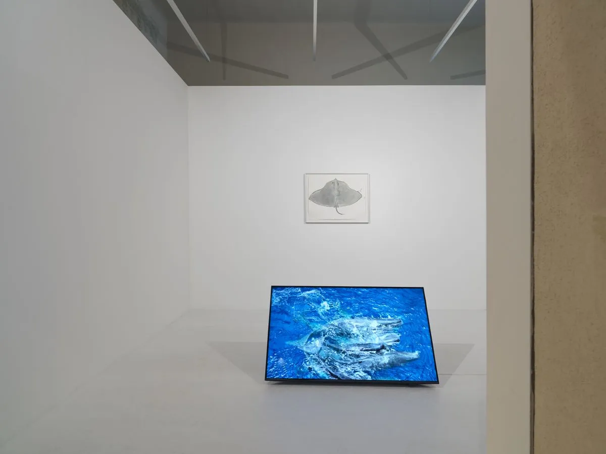 The 36th Ljubljana Biennale of Graphic Arts, MGLC Švicarija, Joan Jonas, To Touch Sound, 2024