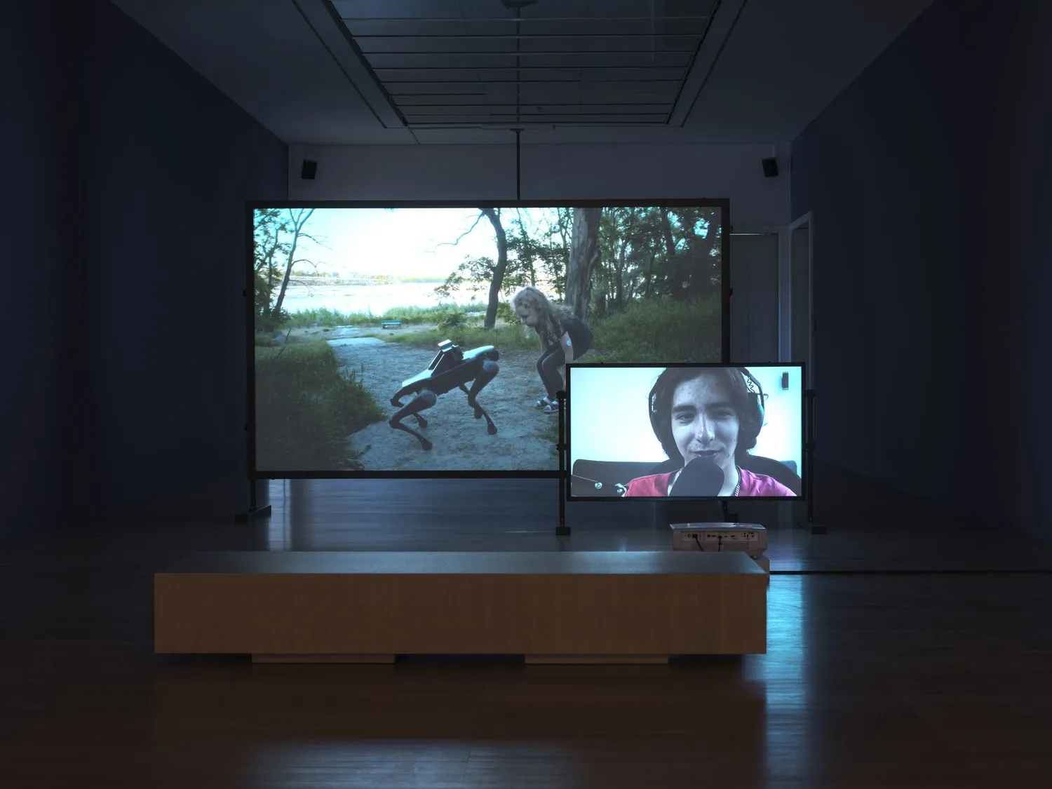 The 36th Ljubljana Biennale of Graphic Arts, Museum of Modern Art (MG+), Yarema Malashchuk and Roman Khimei, Open World, 2025
