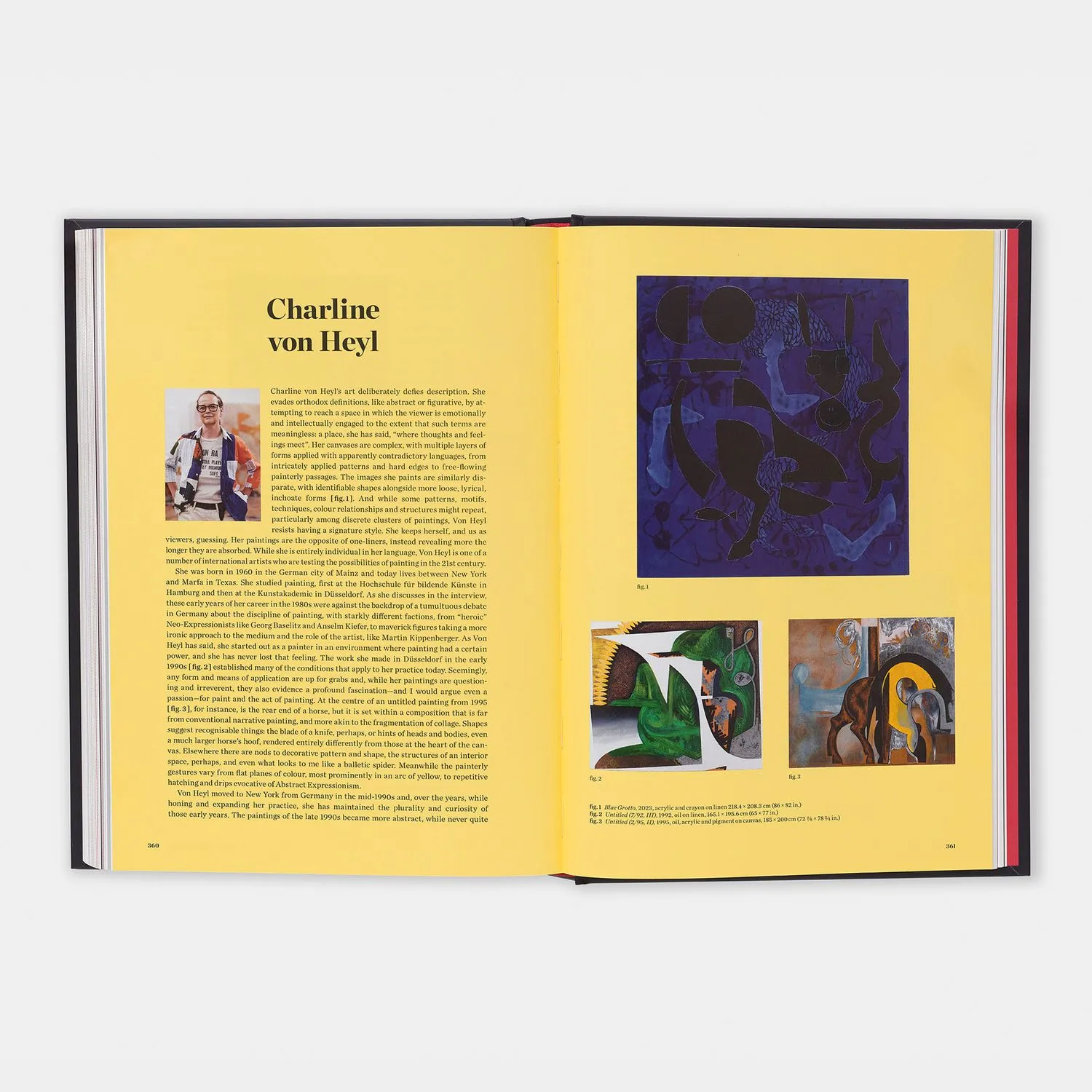 Ben Luke, What is art for? Contemporary artists on their influences, inspirations and disciplines. HENI Publishing